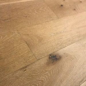 Meet your Posher, Blair